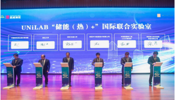 聘书颁发 西咸新区党工委书记杨仁华为严晋跃颁发专家聘书